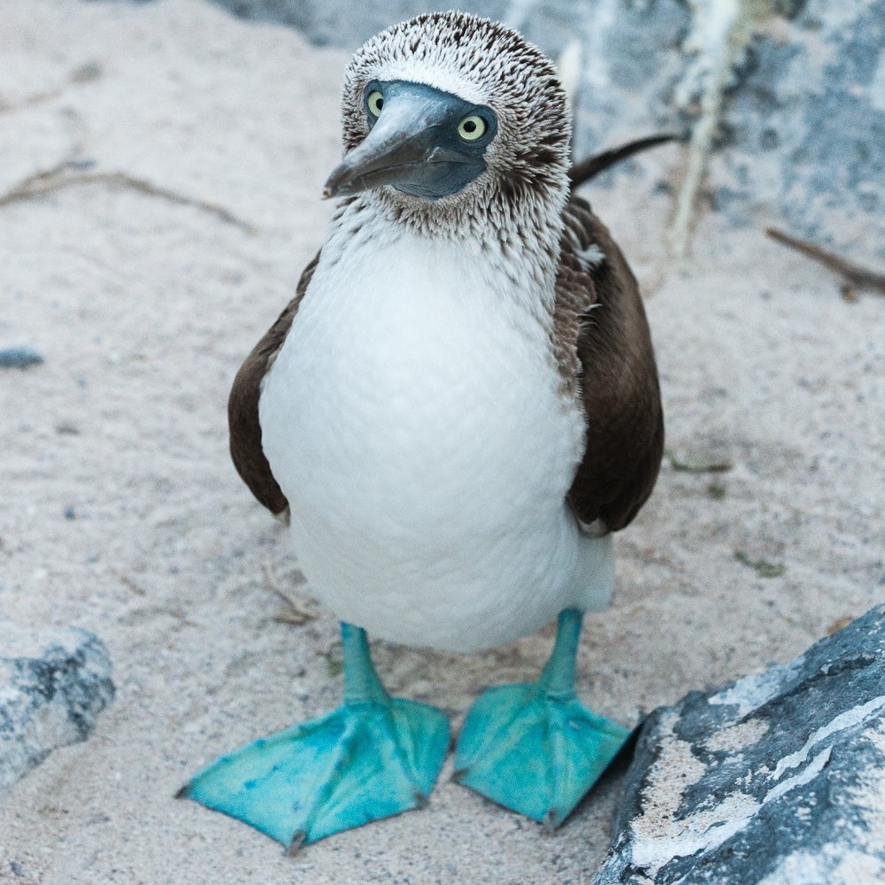 Meet your Posher, Terence